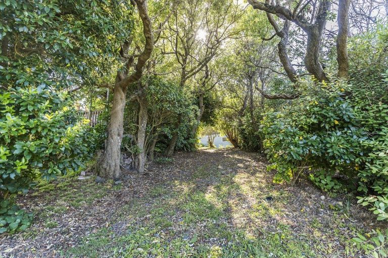 Photo of property in 13 Twomey Grove, Houghton Bay, Wellington, 6023