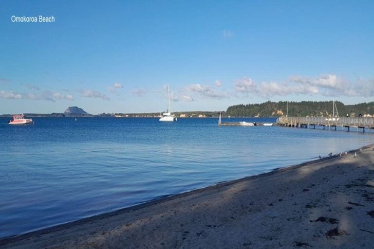 Photo of property in 61 Bert Wall Drive, Omokoroa, 3114