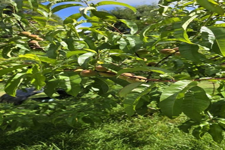 Photo of property in 656 Takahue Road, Takahue, Kaitaia, 0481