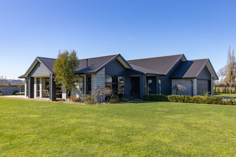 Photo of property in 41 Catalyst Avenue, Leamington, Cambridge, 3432