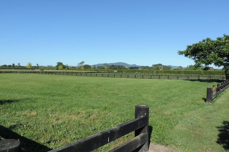 Photo of property in 3 Chestnut Lane, Matamata, 3400