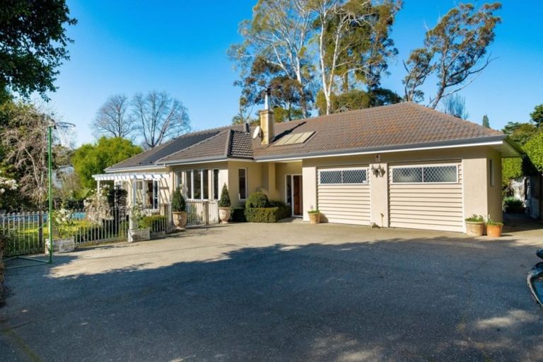 Photo of property in 65 Mchardy Street, Havelock North, 4130