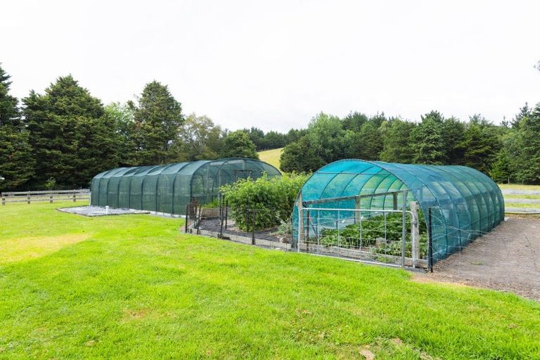 Photo of property in 909a Wharekopae Road, Ngatapa, Gisborne, 4072