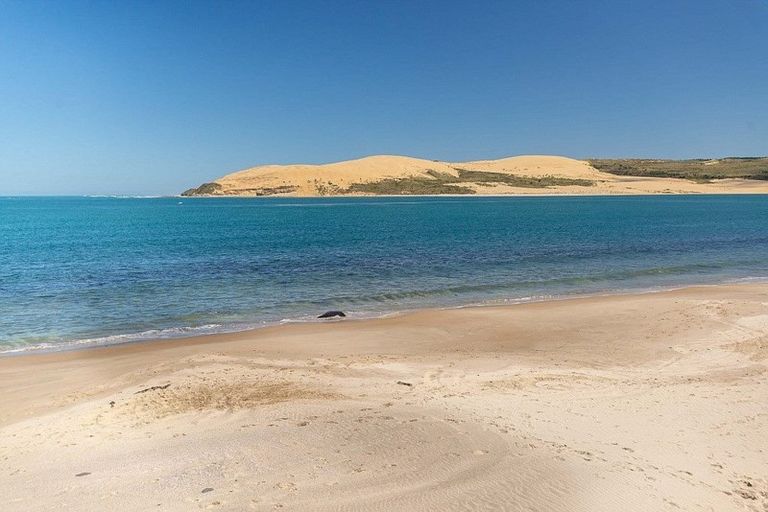 Photo of property in 2 Waianga Place, Omapere, Kaikohe, 0473