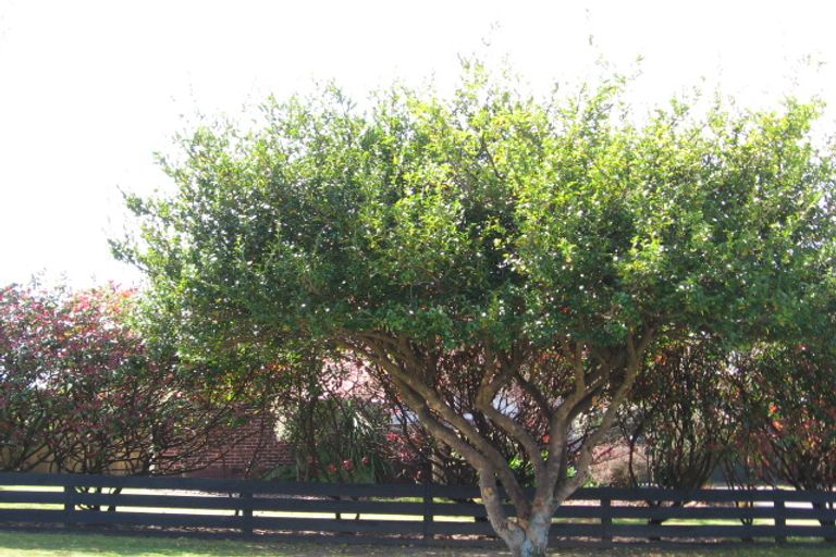 Photo of property in 27 Roosevelt Road, Western Heights, Rotorua, 3015