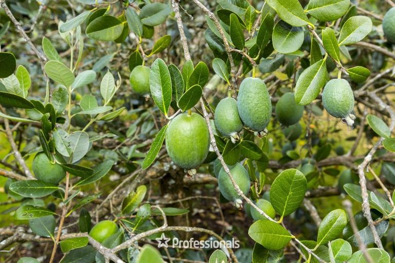 Photo of property in 64 Ebdentown Street, Ebdentown, Upper Hutt, 5018