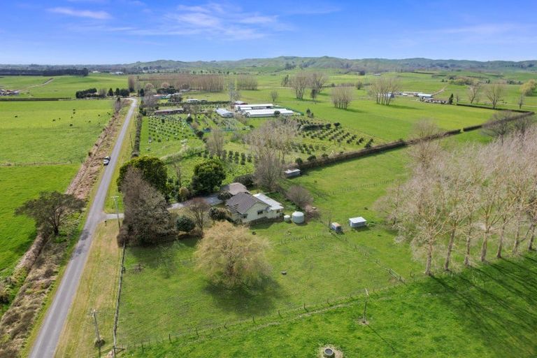 Photo of property in 141 Hooper Road, Eureka, Hamilton, 3286