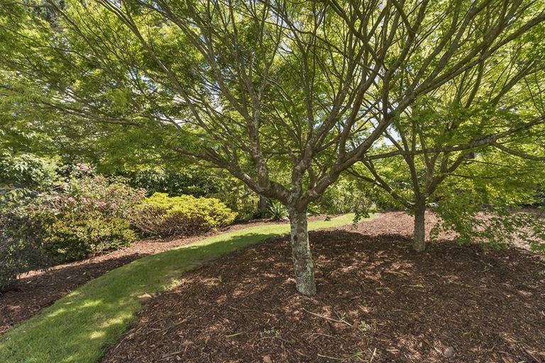 Photo of property in 198 Glenmore Road, Coatesville, Albany, 0793