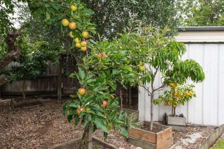 Photo of property in 8 Merton Place, Bryndwr, Christchurch, 8053