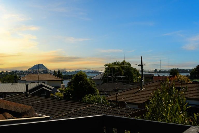 Photo of property in 17 Hairini Street, Hairini, Tauranga, 3112