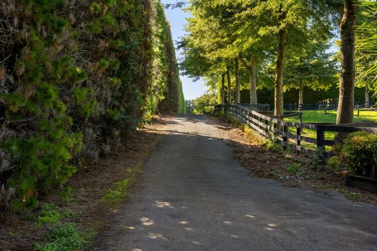 Photo of property in 526d Belk Road, Omanawa, Tauranga, 3171