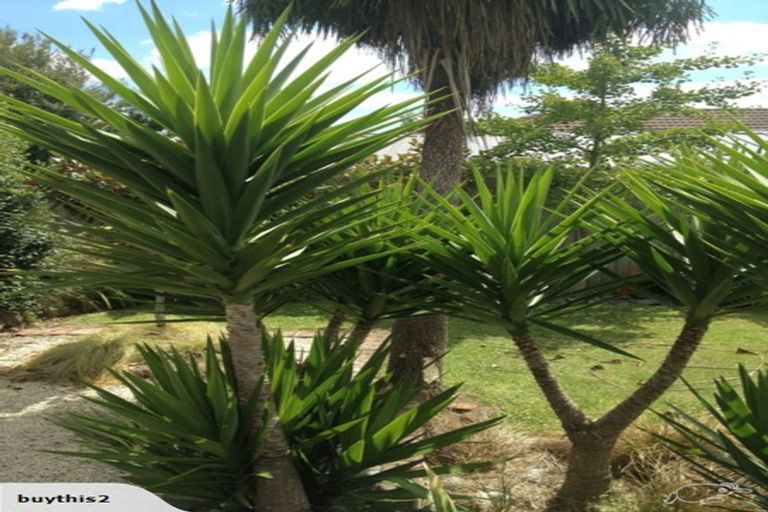 Photo of property in 23a Sandwich Road, Beckenham, Christchurch, 8023