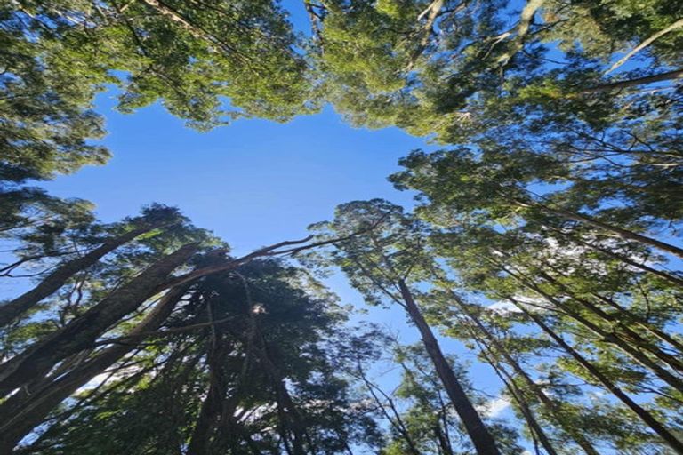 Photo of property in 307 Whananaki North Road, Opuawhanga, Hikurangi, 0181