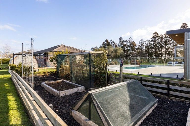 Photo of property in 499 Seddon Road, Gordonton, Hamilton, 3287