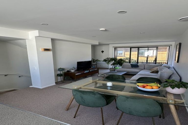 Photo of property in Aniva Terrace, 19 Arney Street, Newtown, Wellington, 6021