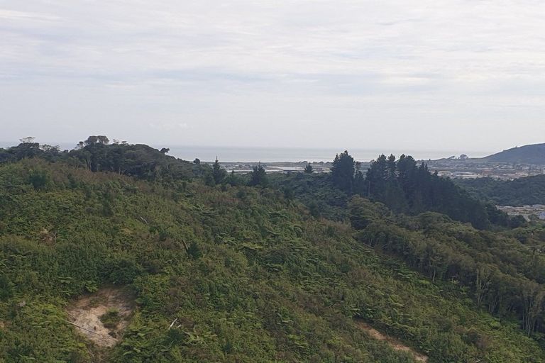 Photo of property in 308 Marsden Road, Greymouth, 7805