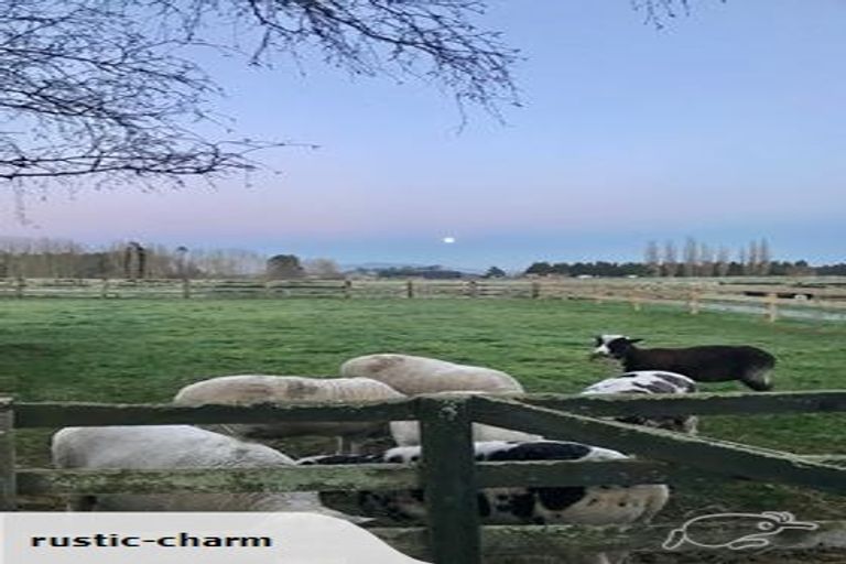 Photo of property in 85 Tarr Road, Ohaupo, 3881