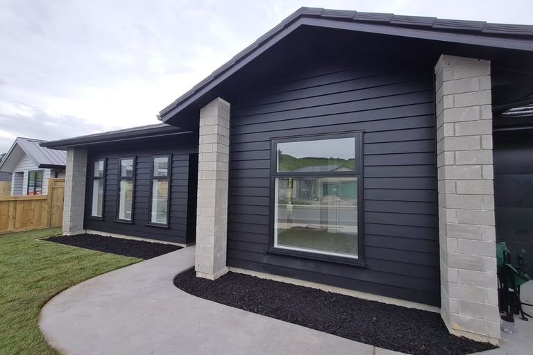 Photo of property in 161 Adler Drive, Ohauiti, Tauranga, 3112