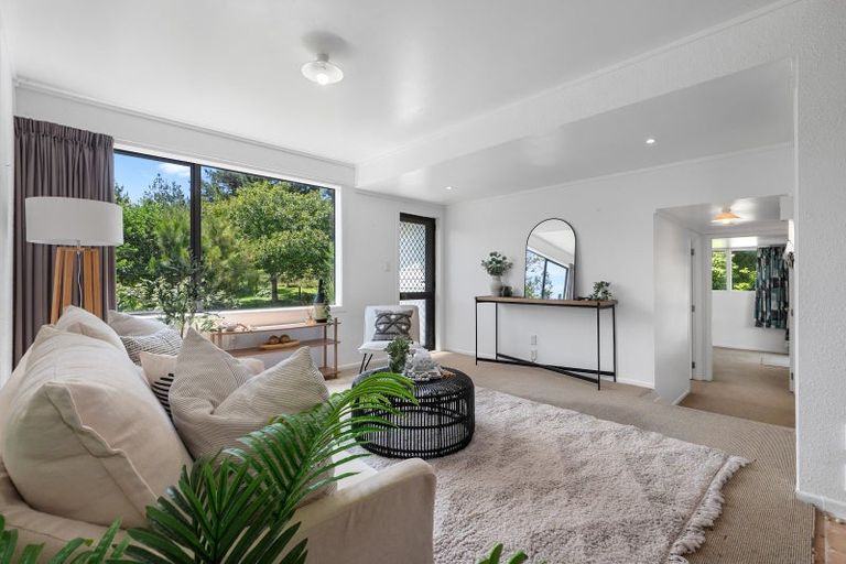 Photo of property in 911 Mclaren Falls Road, Omanawa, Tauranga, 3171