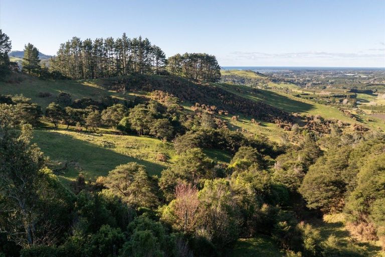 Photo of property in 225d Woodland Road, Tahawai, Katikati, 3170