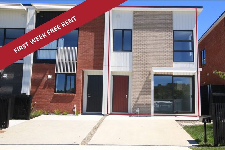 Photo of property in 23b O'meara Street, Swanson, Auckland, 0614