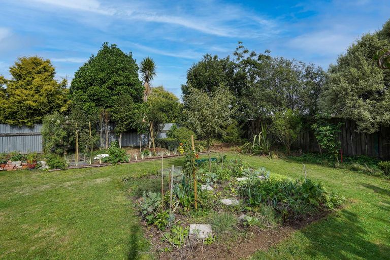 Photo of property in 20 Ihle Street, Terrace End, Palmerston North, 4410
