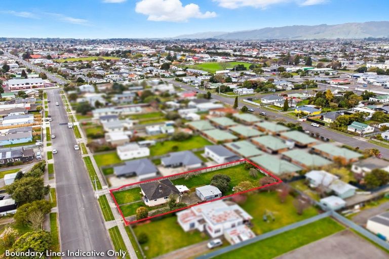 Photo of property in 21 Mckenzie Street, Levin, 5510