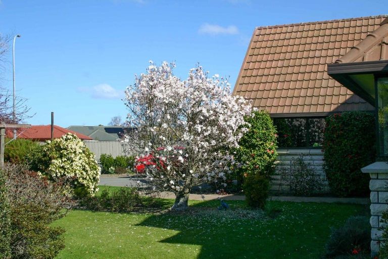 Photo of property in 20 Taranaki Drive, Woodend, 7610