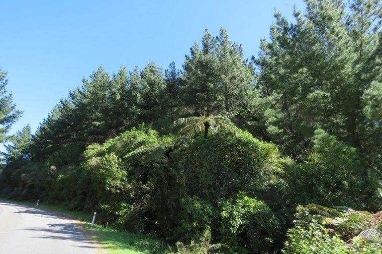 Photo of property in 197 Darkies Terrace Road, Charleston, Cape Foulwind, 7892