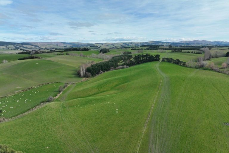 Photo of property in 41 Gray Road, Waitepeka, Balclutha, 9271