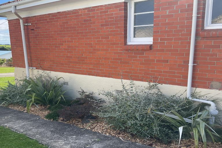 Photo of property in 269 Rodney Street, Wellsford, 0900