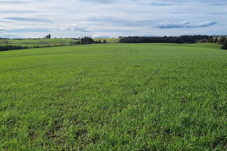 Photo of property in 41 Gray Road, Waitepeka, Balclutha, 9271