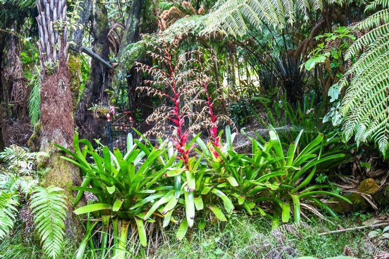 Photo of property in 896a Hikuai Settlement Road, Pauanui, Hikuai, 3579