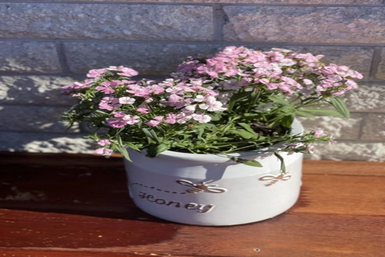 Photo of property in 1/10 Cardiff Avenue, Somerfield, Christchurch, 8024