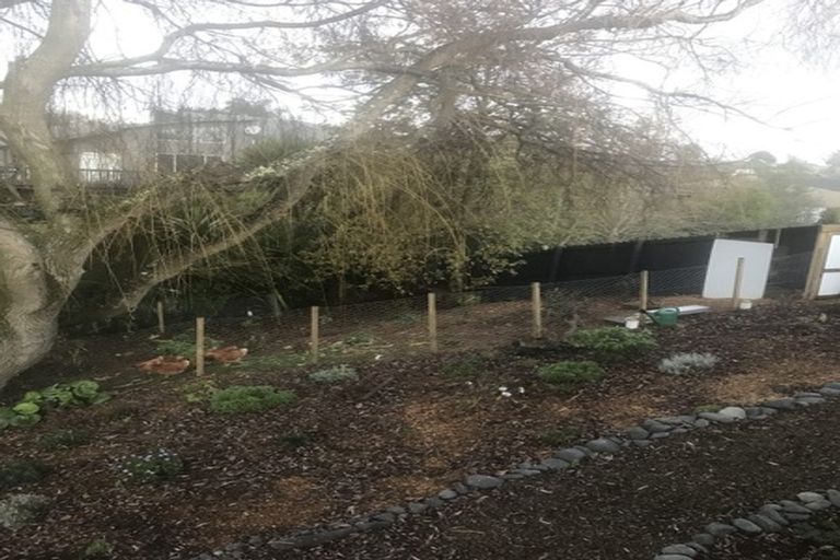 Photo of property in 14 Henry Lane, Patumahoe, Pukekohe, 2679