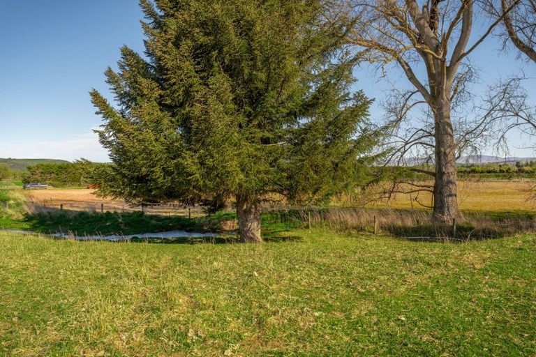 Photo of property in 36 Clayton Road, Fairlie, 7987