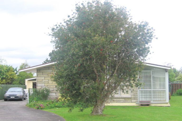 Photo of property in 12 Mount Avenue, Te Aroha, 3320