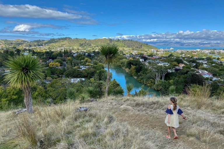 Photo of property in 48 Hauroa Road, Whataupoko, Gisborne, 4010