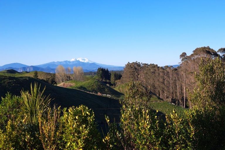 Photo of property in 24 Piko Lane, Marotiri, Taupo, 3377
