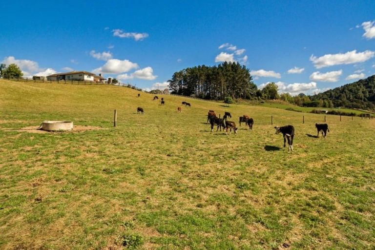 Photo of property in 102h Moumoukai Road, Hunua, 2583