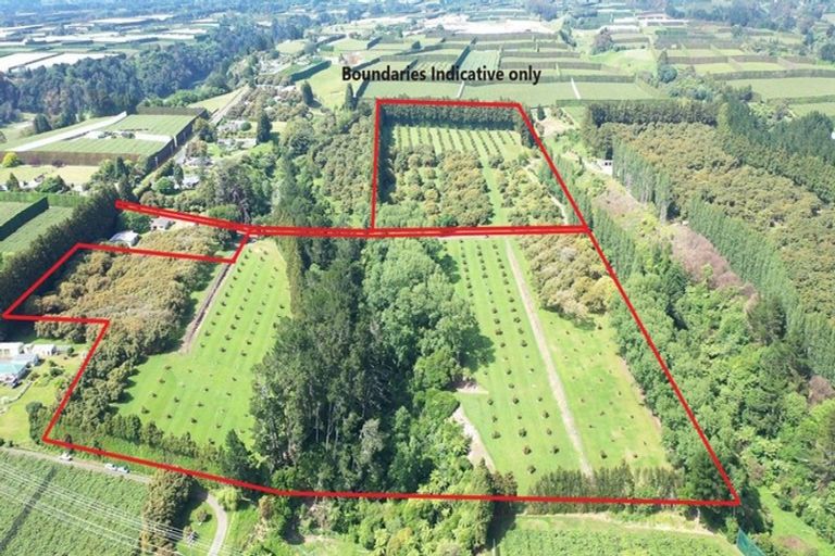 Photo of property in 168 No 1 Road, Te Puke, 3182