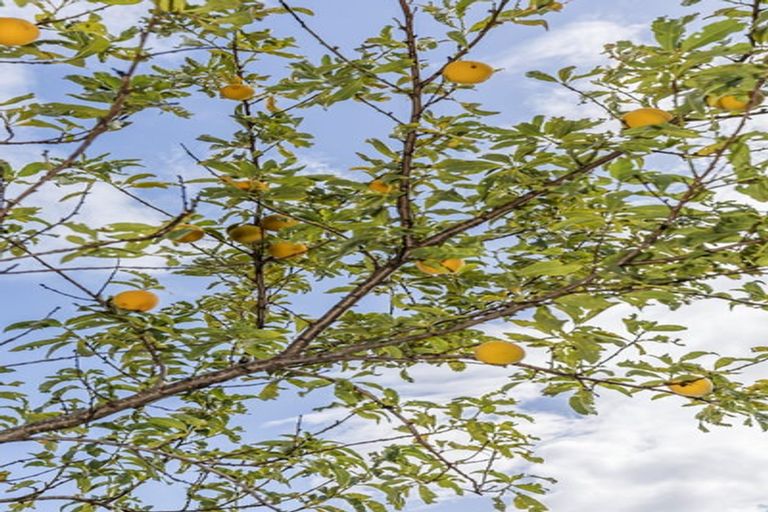 Photo of property in 32 Freeling Street, Island Bay, Wellington, 6023