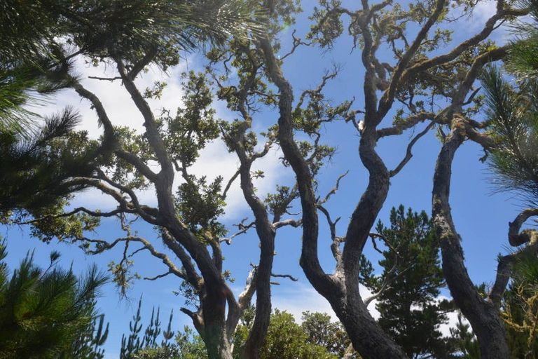 Photo of property in 638 Whangaruru Road North, Whangaruru, Russell, 0184