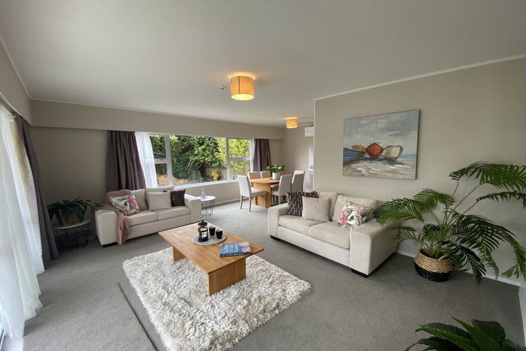 Photo of property in 53 Marellen Drive, Red Beach, 0932