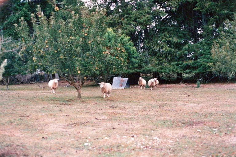 Photo of property in 618 Holland Road, Eureka, Hamilton, 3286