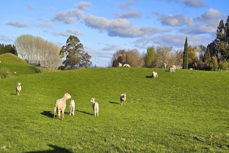 Photo of property in 94 Oturoa Road, Hamurana, 3072