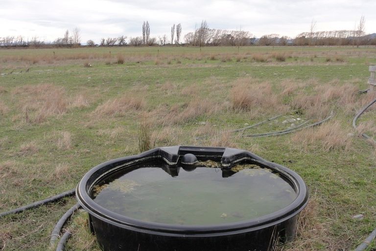 Photo of property in 408 Gilberts Road, Masons Flat, Hawarden, 7385