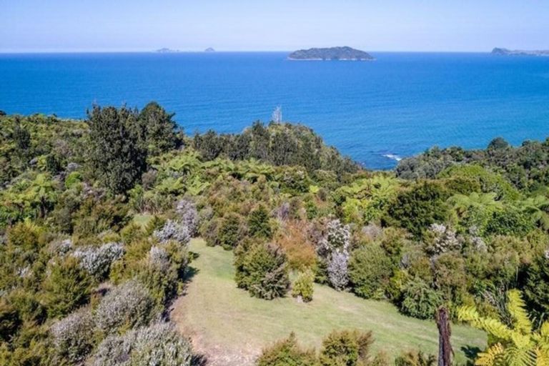 Photo of property in 160 Pumpkin Hill Road, Pumpkin Hill, Whitianga, 3591