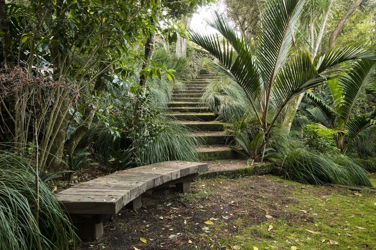 Photo of property in 7 Cheverton Place, Saint Heliers, Auckland, 1071