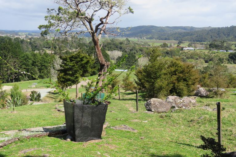 Photo of property in 142 Doel Road, Kawakawa, 0282